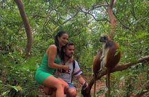 Zanzibar Jozani Forest and Salaam Cave Tour