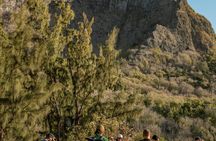 Le Morne Brabant Midway Loop Guided Hike