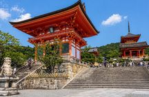 Kyoto Day Trip from Osaka Port – Private Shore Excursion