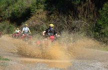 Side Quad or Buggy Safari Experience with Hotel Transfer