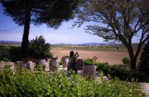 Utiel-Requena Excursion: Uncover the Flavors of Valencia's Wine