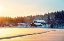 6 Hour Snowmobile Safari with Lunch in Levi