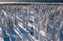 6 Hour Snowmobile Safari with Lunch in Levi