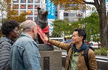 Tokyo Layover Tour with a Local – Private & Tailored to You