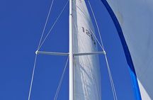 San Diego Wild life Sailing Adventure Private
