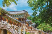 Old Korea Thousand History Tour of Gyeongju from Busan