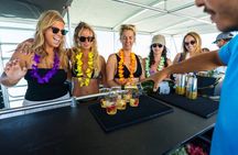 3 Hour Panama City Beach Dolphin Cruise and Shell Island Tour
