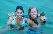 3 Hour Panama City Beach Dolphin Cruise and Shell Island Tour