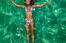 3 Hour Panama City Beach Dolphin Cruise and Shell Island Tour