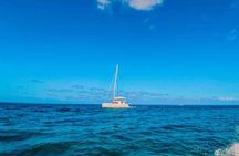 Top Cozumel Snorkel Experience: 4 Hours of Reefs & Island Dining