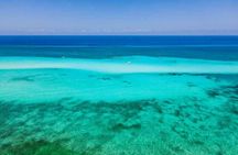 Top Cozumel Snorkel Experience: 4 Hours of Reefs & Island Dining