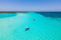 Top Cozumel Snorkel Experience: 4 Hours of Reefs & Island Dining