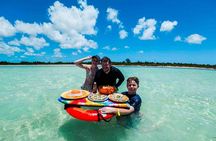 Cozumel: El Cielo Starfish Sanctuary, Reefs & Fresh Ceviche