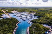 Top Cozumel Snorkel Experience: 4 Hours of Reefs & Island Dining