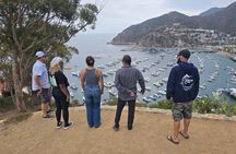 Avalon Golf Cart Tour Led by Former Museum Curator