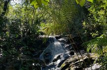 Explore the Jungle by off-road vehicle