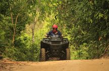 Explore the Jungle by off-road vehicle