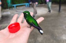 Private Full Day Mindo Tour with Pickup