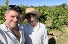 Private Temecula Wine Tour with Sommelier 18 Tastings Included