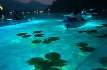 Transparent Kayak Tour with Local Guide on Lake Bled
