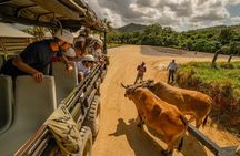 7-in-1 Adventure: Horses, Zipline & Chairlift + Typical House