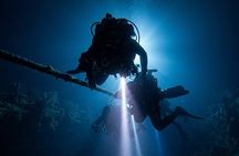 Night Scuba Dive at Blue Heron Bridge Small Group Experience