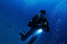 Night Scuba Dive at Blue Heron Bridge Small Group Experience