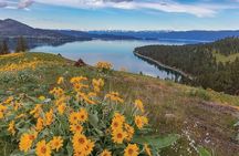 Wild Horse Island Flathead Lake Kayak Tour