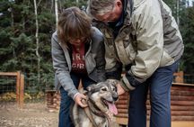 One and a Half Hour Private Summer Sled Dog Experience