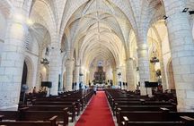 Santo Domingo City Tour and all inclusive