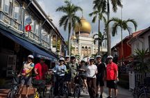 Singapore City Highlights Bike Tour (4-Hour Heritage Ride)
