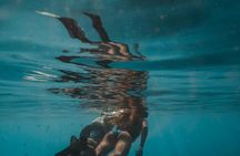 Night Snorkeling at Blue Heron Bridge – Guided Group Experience