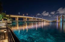 Night Snorkeling at Blue Heron Bridge – Guided Group Experience