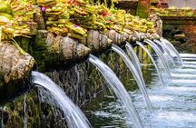 Ubud Puripication Temple, Rice Terrace, Waterfall & Monkey forest
