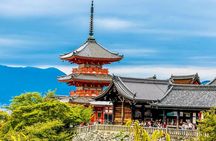 Kyoto Highlights:Custom Private Tour with English-Speaking Driver