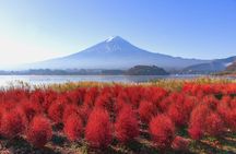 Mount Fuji & Lake Kawaguchi Small Group Tour from Tokyo - Max 12