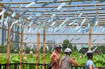 TOKYO 4hr Hidden Gardens Tour Guided by a Gardener E-bike or Walk