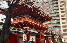 TOKYO 4hr Hidden Gardens Tour Guided by a Gardener E-bike or Walk