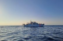 Sunset Cruise with Dolphin Spotting from Umag with Welcome Drink