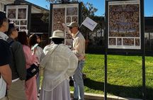 Vatican Museums Small Group Tour with St Peter's Basilica Access