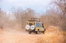 3 Days Private Budget Safari to Tarangire and Ngorongoro Crater
