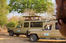 3 Days Private Budget Safari to Tarangire and Ngorongoro Crater