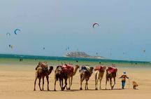 Camel Adventure Sahara Desert and Atlantic Coast