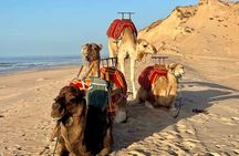 Camel Adventure Sahara Desert and Atlantic Coast