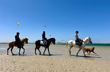 Horseback riding along the coast of Dakhla