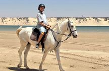 Horseback riding along the coast of Dakhla