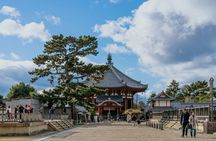 Nara Private Tour: Great Buddha, Park Deer & World Heritage