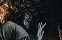 Nara Private Tour: Great Buddha, Park Deer & World Heritage