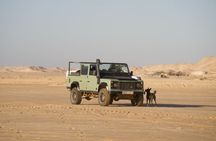Safari Land Rover Vintage White Dunes Exploration and Sandboarding