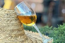 From Tbilisi Chronicles Mtskheta and Hidden Winery Wine Tasting